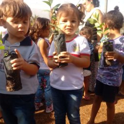 Crianças segurando mudinhas de árvores no viveiro de Cotriguaçu
