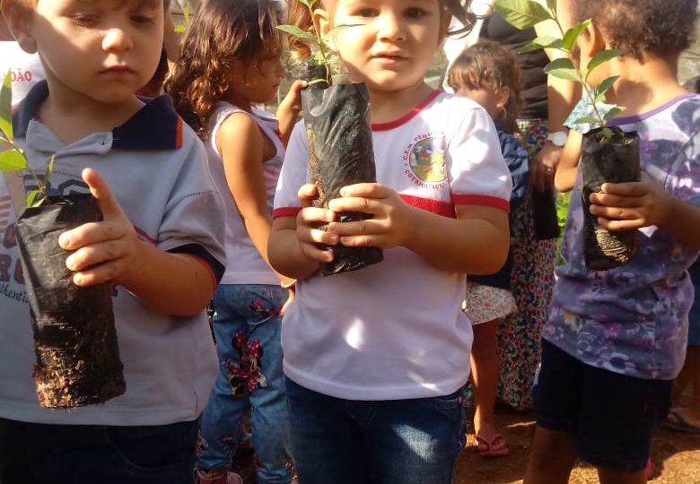 Crianças segurando mudinhas de árvores no viveiro de Cotriguaçu